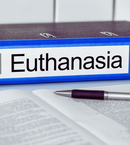 Euthanasia Contemplated: Navigating the Complex Terrain of Life’s End