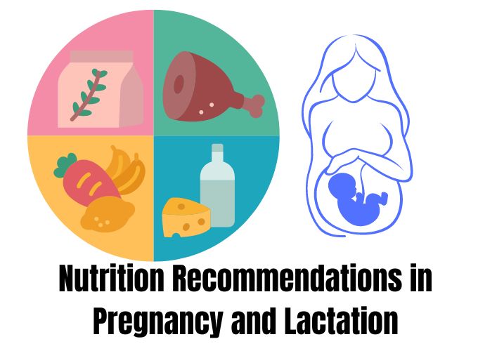 Nutrition Recommendations in Pregnancy and Lactation